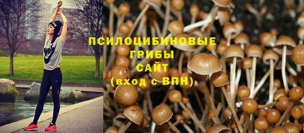 не бодяженный Белокуриха
